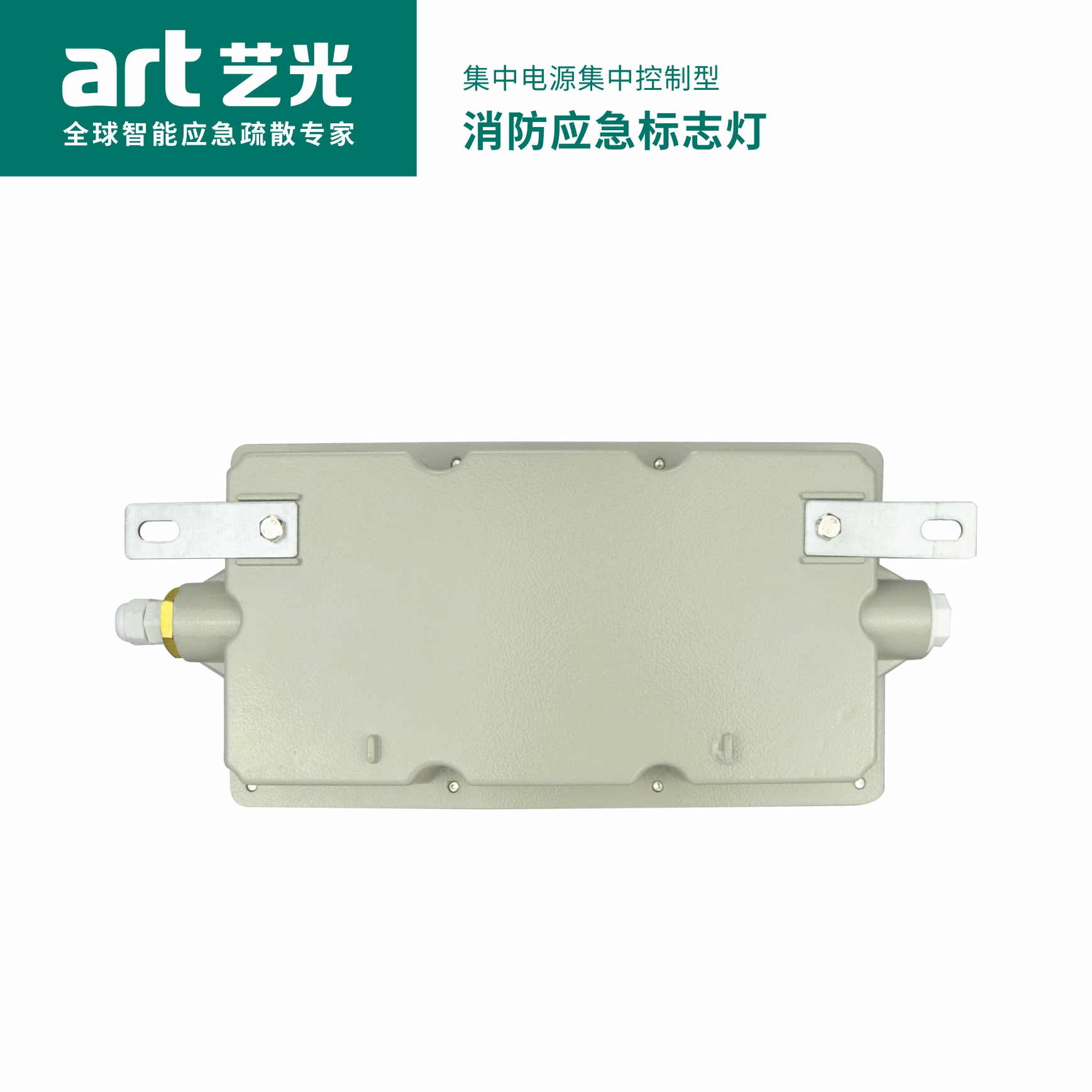 集中電源集中控制型消防應(yīng)急標志燈具 S2010（防爆款）